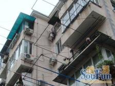 中间楼层+花园位置+明珠B东昌南+近世纪大道轨交