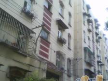 大面积 总价低 户型好 14号线地铁