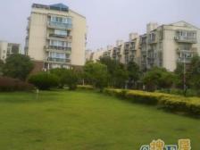 电梯房,大开间,品质小区,精装修