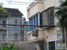 近世纪大道+精装修+非顶楼+明珠+业主诚意出售