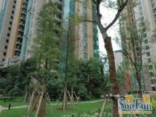 近江浦公园站,南北通全明户型,一梯两户,低楼层,出入方便