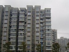 富浩花园 2室1厅 南 北