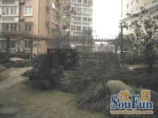 佳日公寓 2室1厅 南