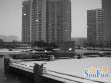 内环内好地段,花园小区,低总价