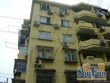 龙柏·龙柏二村·2室·1厅