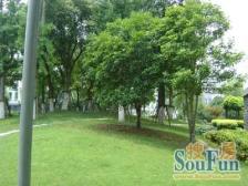 新上05年飞机三房适合居自住 双轨中间