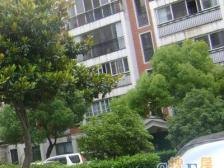 现场实勘 无抵押,刚需上车 新上房源