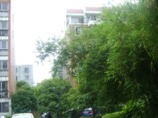 首套首付两成,外环外,单身可购