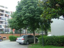 航华一村 2室1厅 南 西