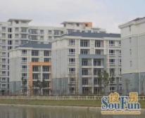 航头·海洲桃花园·1室·1厅