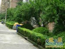 现场实勘,刚需上车,随时看房 热销好房