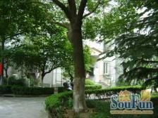 一楼送花园!边套客厅两个窗户!房龄新商品房!随时看