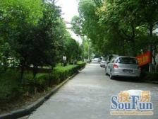 古美四村 2室1厅 南