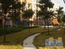 御桥·御桥馨华苑·1室·1厅