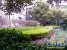 玉峰花园2室南朝向330.00万元/套出售