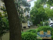 精装两房 一楼带氛围感 小院 居住 舒适