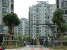 品质小区 送大花园 福缘湾旁 近西郊百联 出行方便 商圈成熟