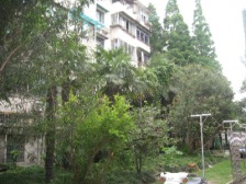 江湾·凉城路1201弄·2室·0厅