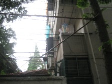 凉城路1201弄小区1室南朝向174.00万元/套出售