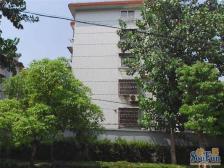 价格美丽 精装修 采光好视野开阔 地铁10号线