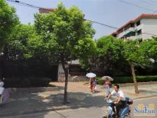 西郊·张泾小区·1室·1厅