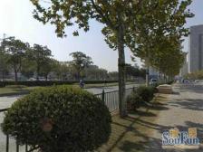 陆家嘴国际华城 小区中间 高楼层 景观好 有车位