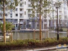 电梯房 现场实勘 无抵押,新上房源