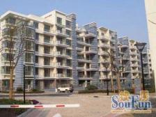 品质物业,电梯房,产权清晰,1梯2户 必看好房