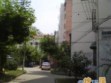 曹杨·曹杨四村-兰花园·1室·1厅