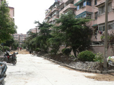 宁康小区二房,好楼层,近3条地铁,近龙之梦及来福士