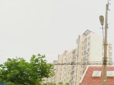 鸟语花香安静电梯/地铁/南北格局/无户口楼层好/位置好