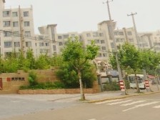 上海未来 3室2厅2卫