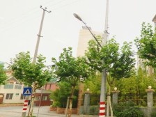 上海未来黄山新城3室南朝向1265.00万元/套出售