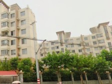 上海未来 1室1厅 南