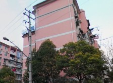 真如·市政馨苑-静宁路477弄·2室·1厅