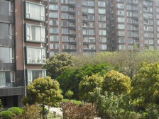 天然居三房,可看植物园,中楼层,位置好