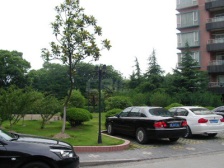 天然居新上高区房源,诚意出售。