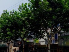 现场实勘 刚需上车,新上房源