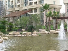 采光好 无抵押,产权清晰 必看好房