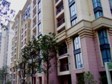 精装修,小区中间位置,电梯高层,户型正气