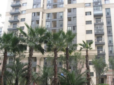 绿地稀缺户型,一楼带地下室,近别墅区,诚意出售。