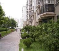 金桥·中大新苑·3室·3厅