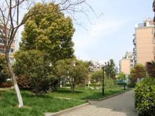 小区配套齐全,环境优美,交通十分便利,有大型商场