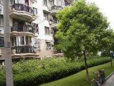 金桥 · 中大新苑 · 5室 · 2厅