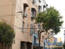 莘松绿梅好位置两房 全明户型 采光无遮挡