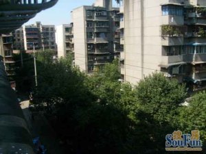 营通街67号 2室1厅 南