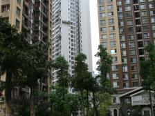 单配,双轻轨,诚心出售,小区环境好,碧桂园物业