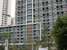 环线10号线双轻轨+使用面积大+麦德龙+楼下新世纪