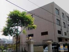 房东诚意出售,随时可看,厅房通宽!