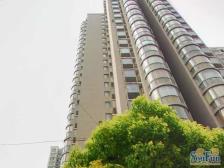 怡福苑 2室1厅 南